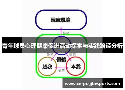 青年球员心理健康促进活动探索与实践路径分析