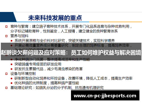 赵鹏谈欠薪问题及应对策略：员工如何维护权益与解决困境